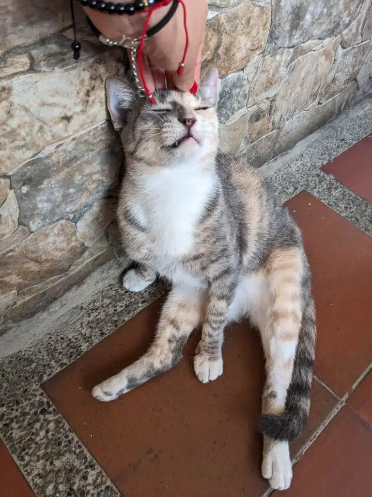 pxl 20250207 222002365